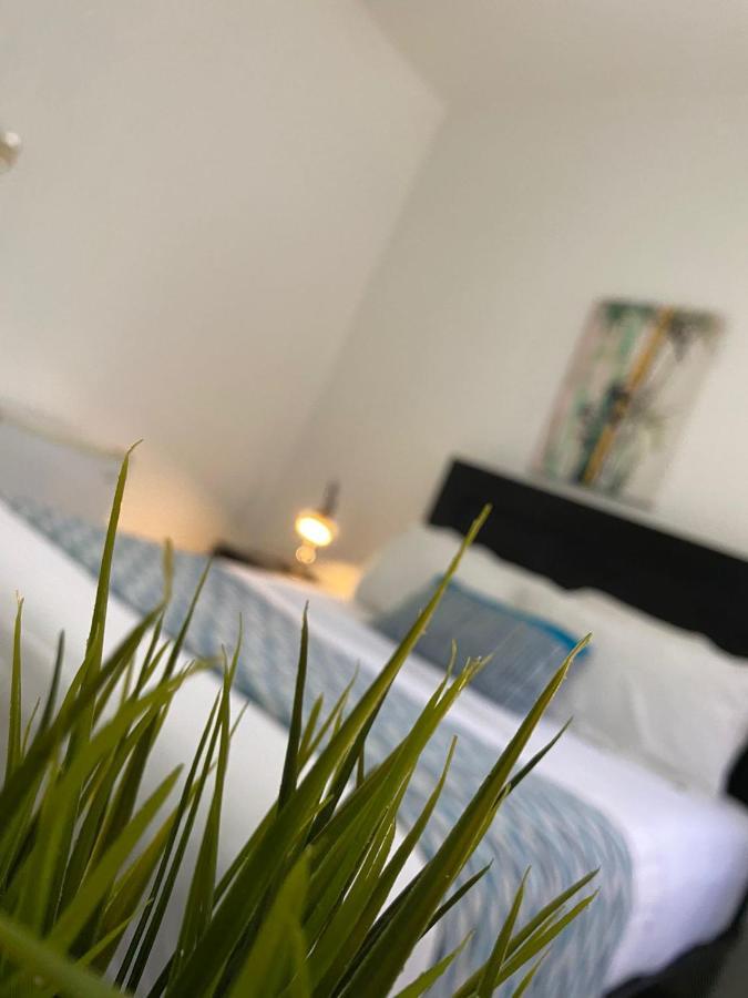 Rig Casa Conde Hotel Santo Domingo Ngoại thất bức ảnh